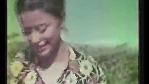 COMPUTER DATA - traumfolge