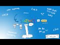 Live streaming di Scottecs
