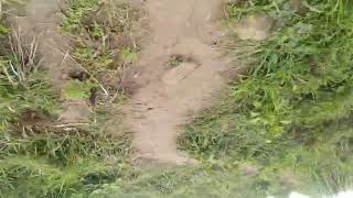 We Are Stucked In Agalikerala Elephant Cross But The  Was Deleted If You Want You Go There