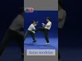 eficiente self defense tecniques Krav maga 10