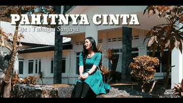Pahitnya Cinta - Nur Alvie Syahrien (Official Music Video)