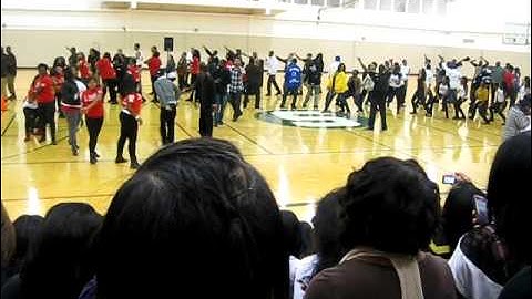 Fall 2010 MSU NPHC Stroll-Off - Divine 9