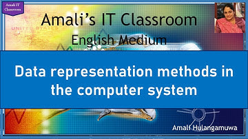 Data Representation methods in a Computer System
