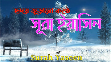 বাংলা অনুবাদ সহ Surah Yaseen (سورة يس) সূরা ইয়াসিন এর অন্য রকম মন জুড়ানো কন্ঠে অসাধারণ তিলাওয়াত