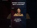 ПОЧЕМУ УКРАИНЦЫ БЕГУТ В РОССИЮ?