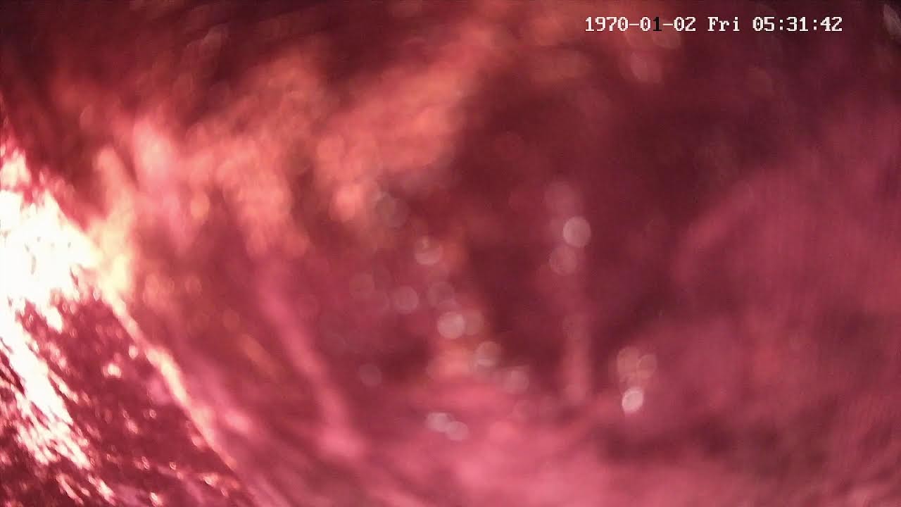 Shri Kali Mata Mandir Kalka Live