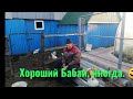 Обзор хозяйства. Делаю отчёт. Копаем картошку. Деревенская жизнь.