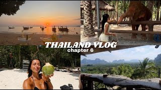 I FOUND MY FAVOURITE PLACE IN THAILAND | elephants, boat trip + night market in krabi | VLOG #6