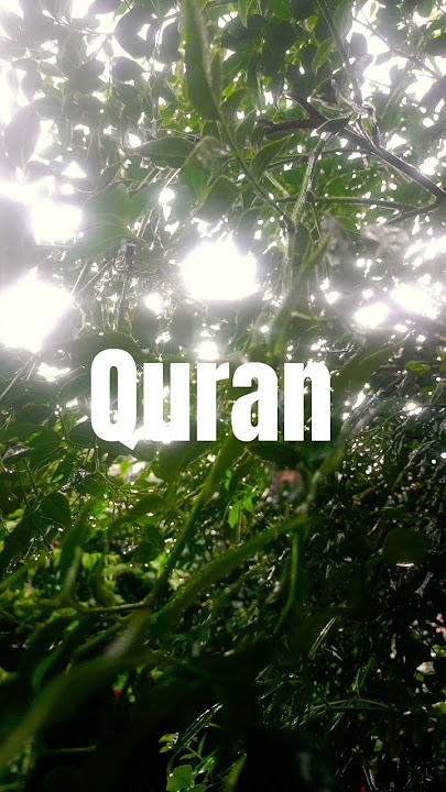 Read Surah Qaf Ayat 33 with English and Urdu Translation