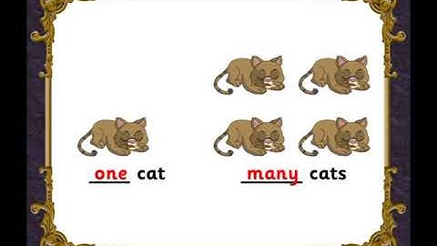 std  4 unit 1  PAGE NO 7,8 5 ONE OR MANY 1