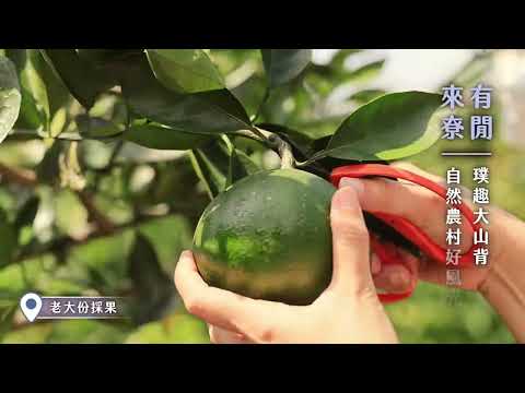 新竹縣香草森林農遊軸帶 邀請大家來作客