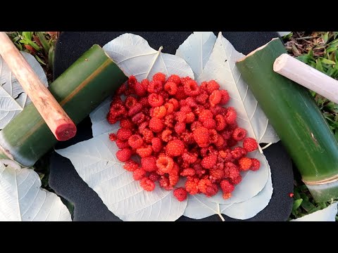 Video: Cloudberry - quả mọng chữa khỏi nhiều bệnh