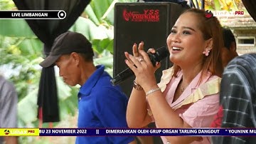 DAUN HIRIS - NUNG ULQISMA ( Live Younink Musik ~ 23 November 2022 )