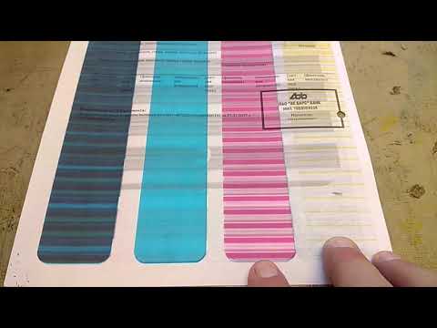 Epson XP 103 в процессе отмачивания