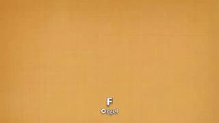 Bordun - F