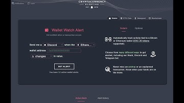 How to setup alerts to Ping you when a Crypto Wallet makes a Transaction! NFT and Crytpo Trading