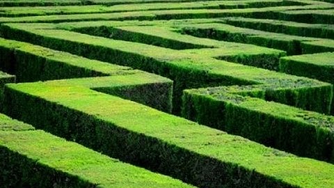 Do Lab Rats Dream of Running Mazes?