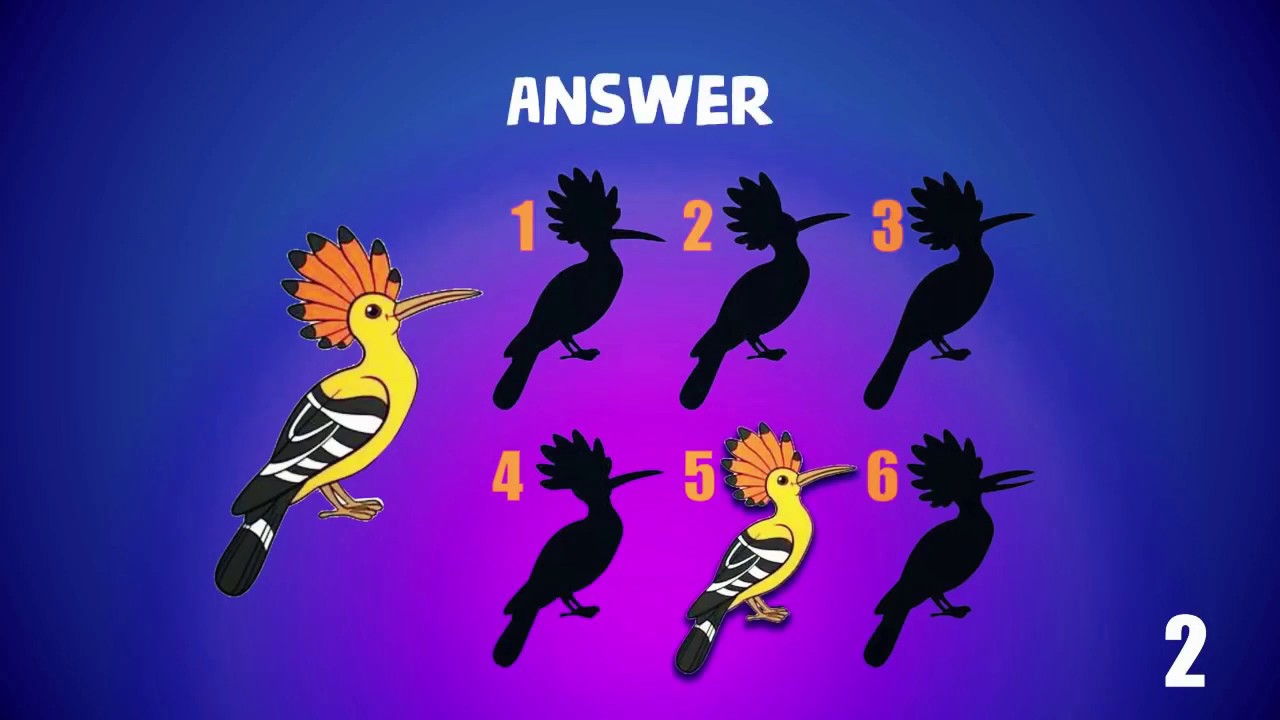 TOP 7 RIDDLES MODIFIED - YouTube