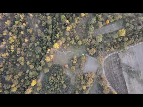 წნისი, 2020 შემოდგომა