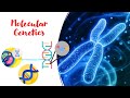 Molecular Genetics Insights and Applications