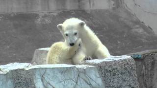 こらっ、待ちなさい！〜Wait！Mother runs after baby