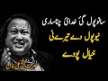 Sanu bhul gayi khudayi chanan sari  ustad nusrat fateh ali khan  reaction alireact000