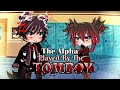 •-The Alpha Played by The Tomboy?!-• GLMM