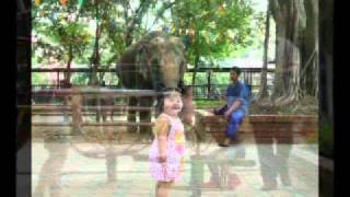 SEG-July-2011.wmv