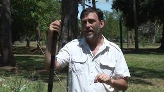 Parasites in Pumpkin Seeds & Squash Growing Vegetables From Seeds Parasites In Pumpkin Seeds Squash