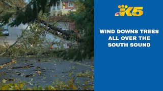 Wind downs trees all over the south sound