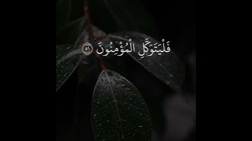 حالات واتس اب بصوت احمد العجمي | تلاوة خاشعة | قُلْ لَنْ يُصِيبَنَا إِلَّا مَا كَتَبَ اللَّهُ لَنَا