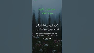 ختم القرآن الكريم سورة البقرة هاني الرفاعي
