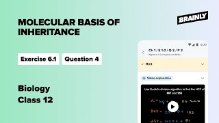If the sequence of the coding strand in a transcription unit is ..?, Class 12, Biology, Ex. 6.1, Q.4
