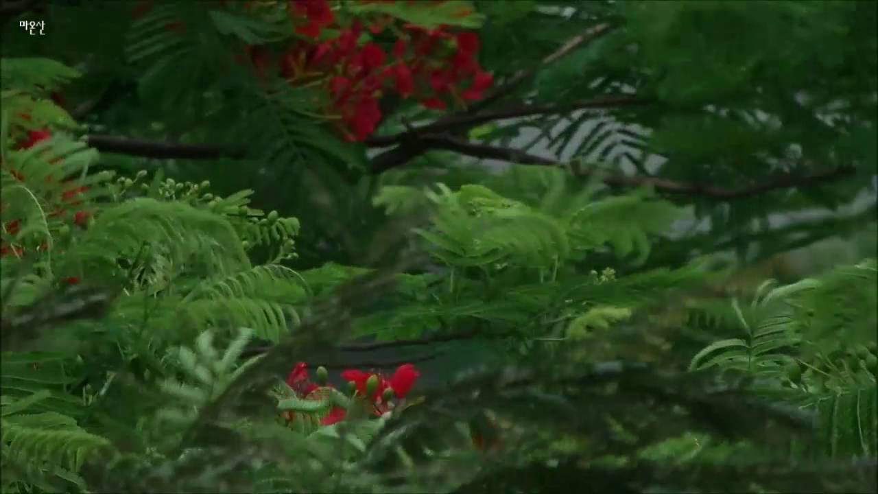 바람 /정애련 - 첼로 예지영