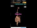 Digestive of human 3d diagram ll science students
