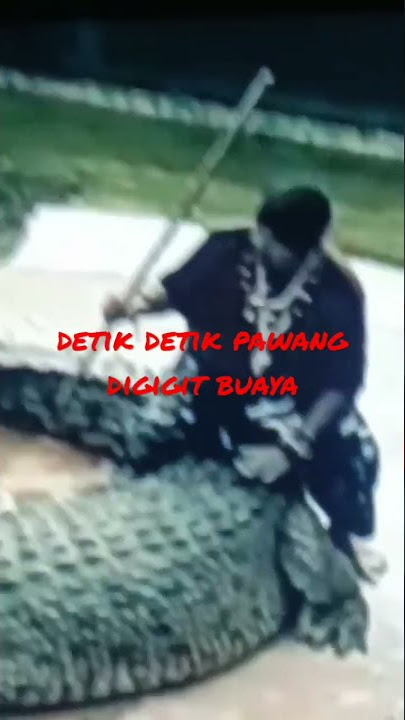 DETIK DETIK PAWANG BUAYA TERGIGIT