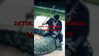 Download Lagu DETIK DETIK PAWANG BUAYA TERGIGIT MP3