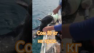 запутал нахрен весь перемет.. #рыбалканаозере #fishing