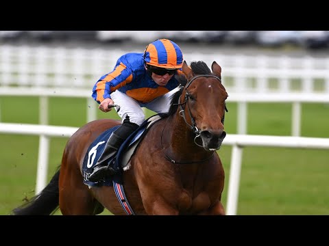 Paddington bears down on curragh rivals