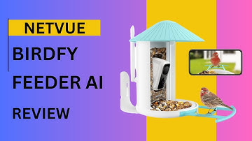 Netvue Birdfy Feeder AI Review | Birds Meet Technology!