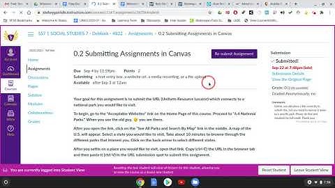 How do you view teacher comments in Canvas?