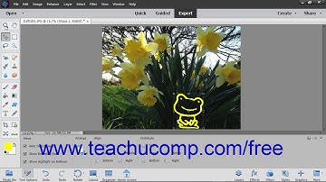 Photoshop Elements 2019 Tutorial Bitmap Images Adobe Training