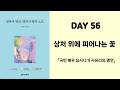 [일본어 명언 · 명대사 필사 노트] DAY 56 『국민 배우 요시나가 사유리의 명언』