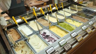 Homemade Gelato Making and Funny Ice Cream Collection / 젤라또 만들기와 아이스크림 모음