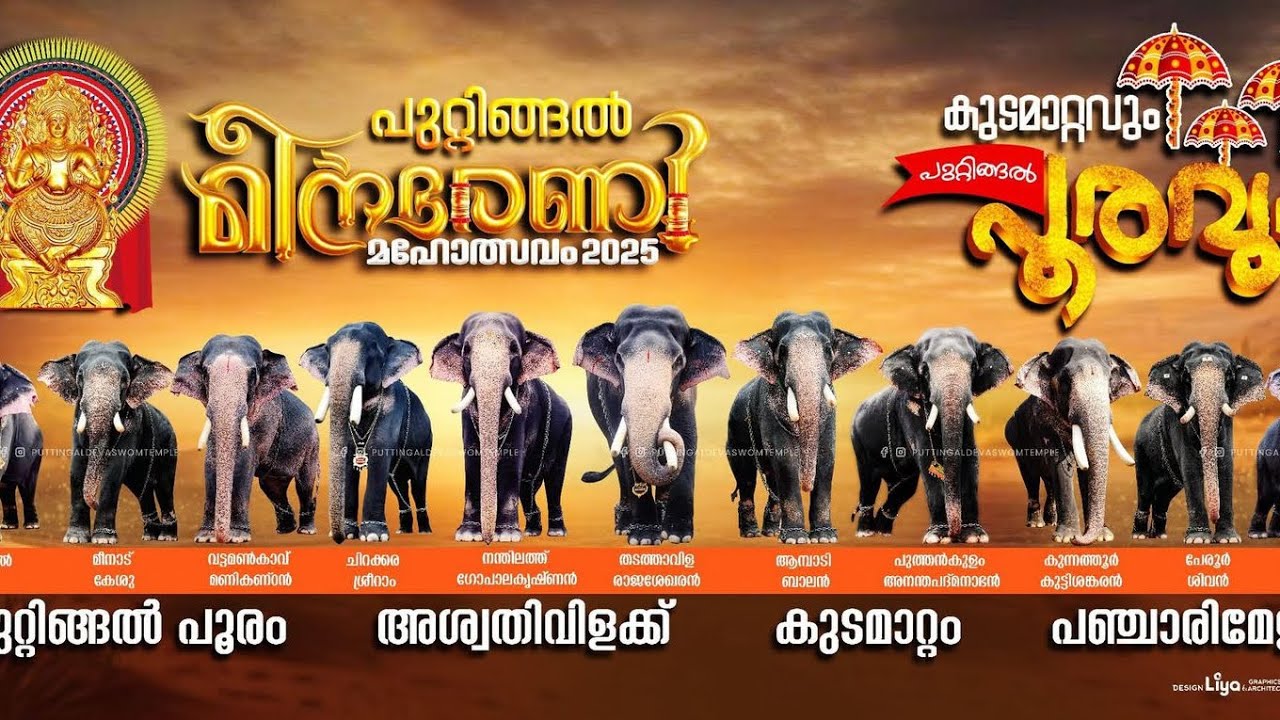 പുറ്റിങ്ങൽ പൂരത്തിന് അണിനിരക്കുന്നവർ 🐘 |puttingal pooram 2025