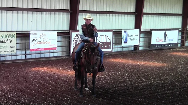 Training Tip Tuesday- Improving with Your Horse