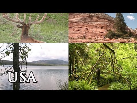 Video: Amerikas Nationalparks Sind In Gefahr. Diese Kraftvollen Illustrationen Zeigen Uns, Wie. - Matador-Netzwerk