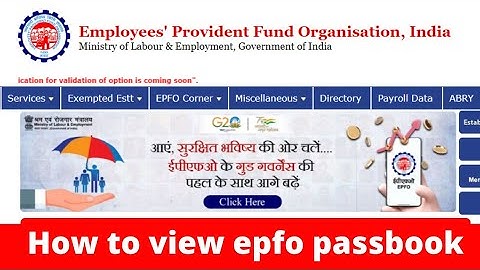 epf passbook video || how to view epfo passbook #epfopassbook