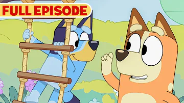 Bluey Full Episode | Obstacle Course | S3 E2 | Full Episode | @disneyjunior