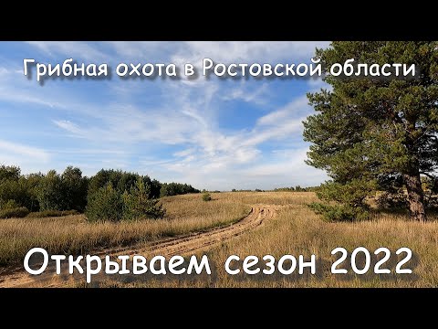 Грибная охота в Ростовской области. Открытие сезона 2022